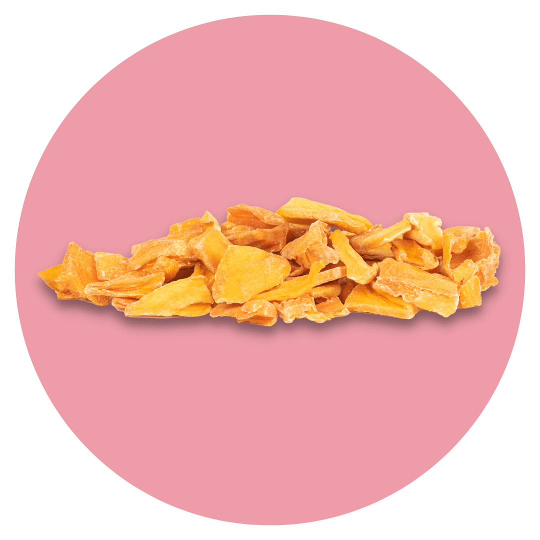 mango disidratato