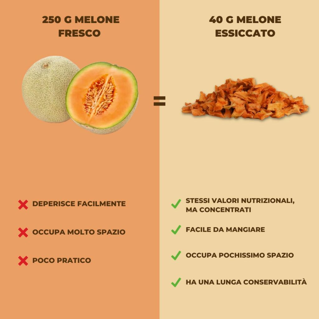 melone fresco vs melone essiccato