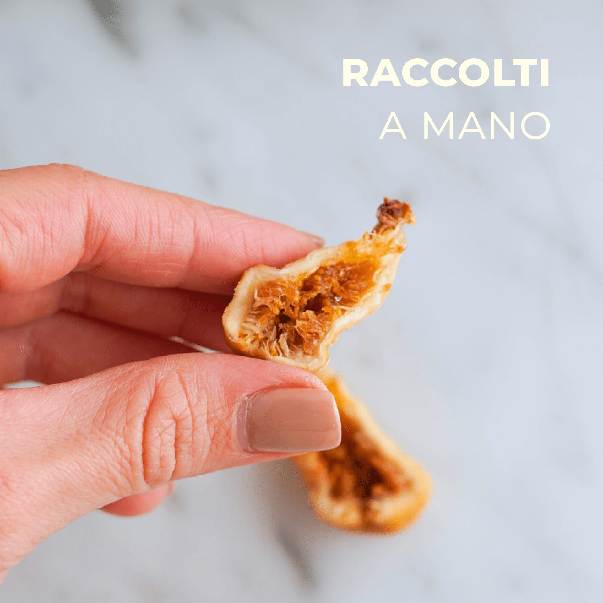 Fichi Bianchi del Cilento