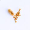 Polline in Capsule - Thumbnail Image 3